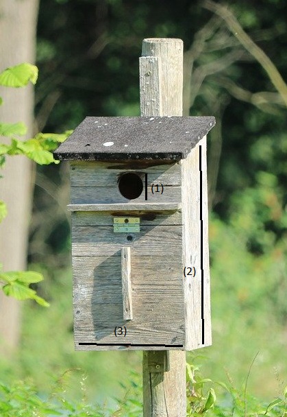 Nichoir de type boite aux lettres