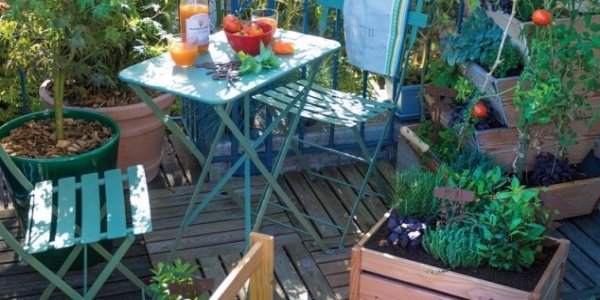 AMÉNAGER SA TERRASSE OU SON BALCON AVEC DES FRUITIERS NAINS ET