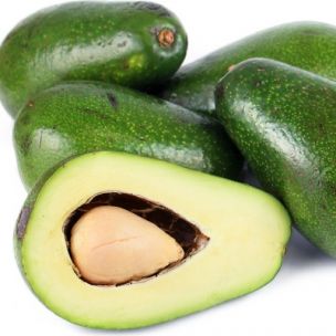 Avocatier 'Ettinger' - Leaderplant
