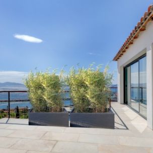 Haie Brise-vue Balcon Bambou 'Asian Wonder' en KIT - Leaderplant