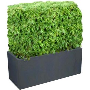 Bac Haie Brise-Vue Balcon 100L/ Jardinière Haie Brise-Vue Balcon - Leaderplant