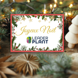 Pépi Chèque-cadeau pour Noël - Leaderplant