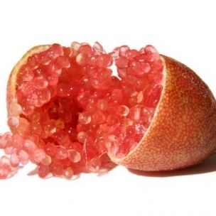 Citron Caviar à chair rose - Leaderplant