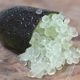 Citron caviar à chair blanche - Leaderplant