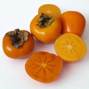 Kaki Plaqueminier Jiro - Leaderplant