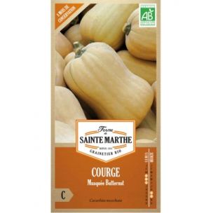 Graines Bio de Courge Musquée Butternut (Ferme de Sainte Marthe) - Leaderplant