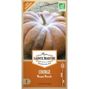 Graines Bio de Courge Musquée Muscade (Ferme de Sainte Marthe) - Leaderplant