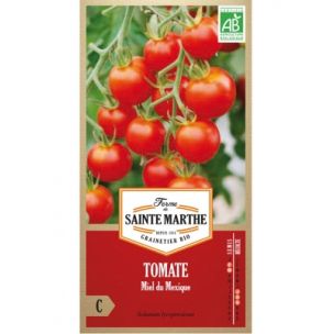 Graines Bio de Tomate Miel du Mexique (Ferme de Sainte Marthe) - Leaderplant