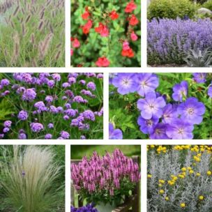 KIT Jardin Naturaliste au Soleil - Leaderplant