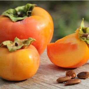 Kaki Pomme Fuyu - Leaderplant