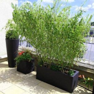 Haie Brise-vue Balcon Bambou Métaké en KIT - Leaderplant
