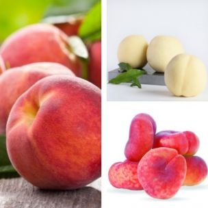 KIT Fruitiers nains Fruit Me ® (peches et nectarines) - Leaderplant