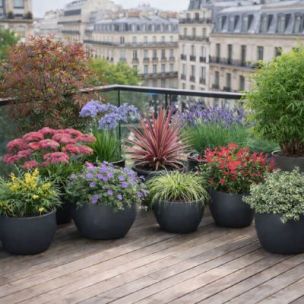 KIT Jardin en Pot pour Balcon - Leaderplant