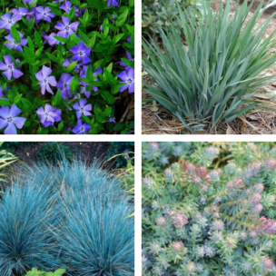 Kit jardinière bleu pour cimetière  - Leaderplant