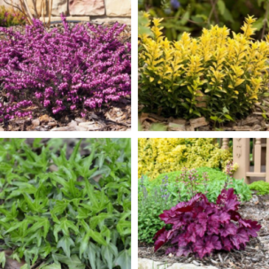 Kit jardinière rose pour cimetière  - Leaderplant