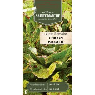 Graines de Laitue romaine chicon panaché (Ferme de sainte Marthe) - Leaderplant