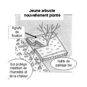 Natte de paillage bio-dégradable - Leaderplant