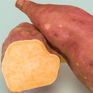 Patate douce Beauregard - Leaderplant