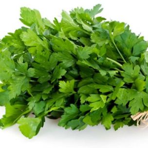 Persil commun Geant d'Italie - Leaderplant