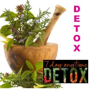 Kit de tisane prêt à planter 'Détox' - Leaderplant