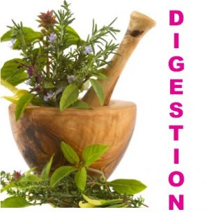 Kit de tisane prêt à planter 'Digestion' BIO - Leaderplant