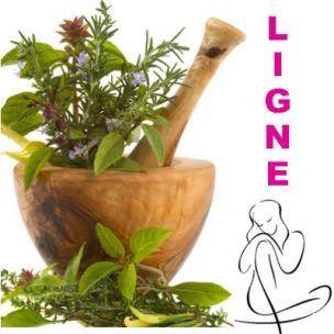 Kit de tisane prêt à planter 'Ligne' - Leaderplant