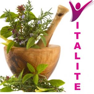 Kit de tisane prêt à planter 'Vitalité' - Leaderplant