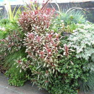 VEGEBLOC ® Le Végétal en 3D - Leaderplant
