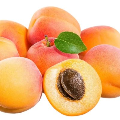 Abricotier Goldrich - Leaderplant