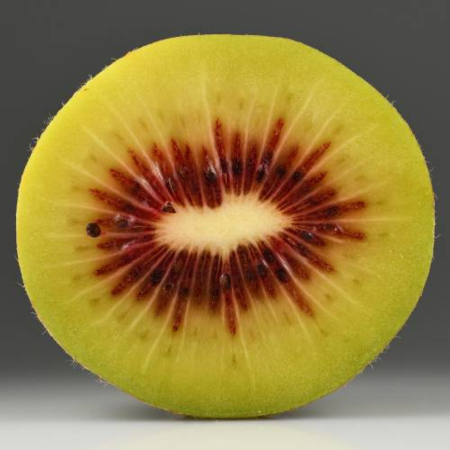 Kiwi femelle Gold'n Red - Leaderplant