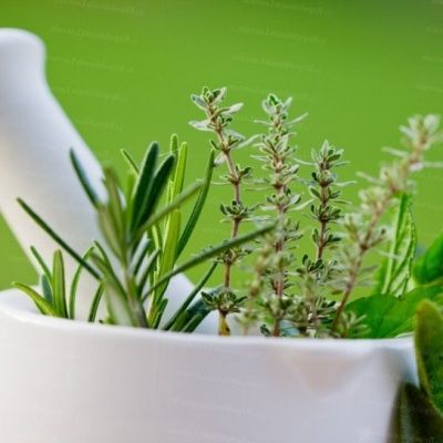 Kit Aromatiques Herbes de Provence - 4 variétés - Leaderplant