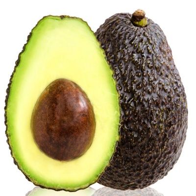 Avocatier Hass - Leaderplant