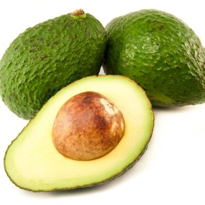 Avocatier Zutano - Leaderplant