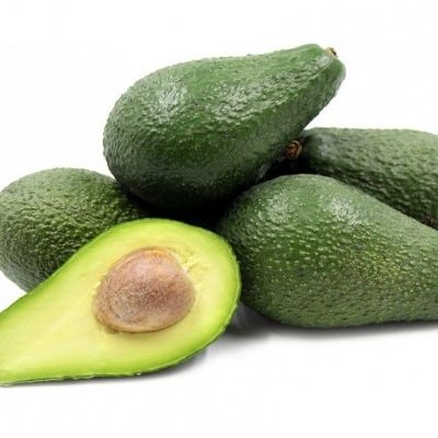 Avocatier Pinkerton - Leaderplant