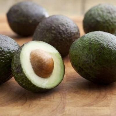 Avocatier Reed - Leaderplant