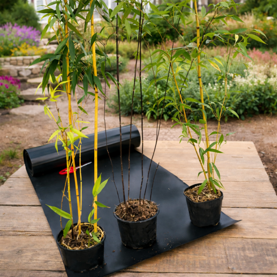 Barrière anti-rhizomes /Stop racine - Leaderplant