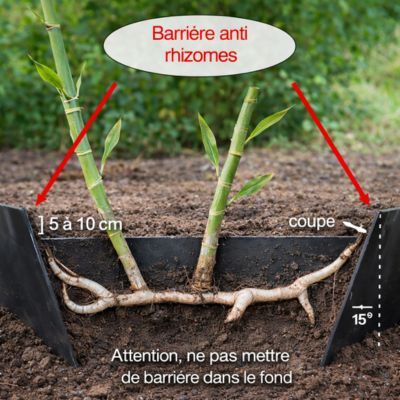 Barrière anti-rhizomes /Stop racine - Leaderplant