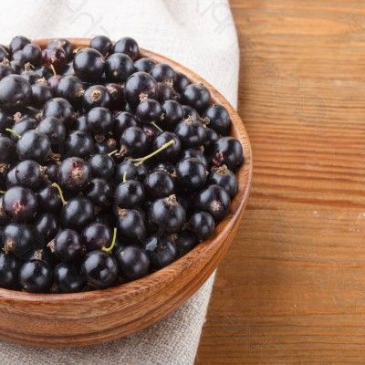 Cassis à gros fruits Tena - Leaderplant