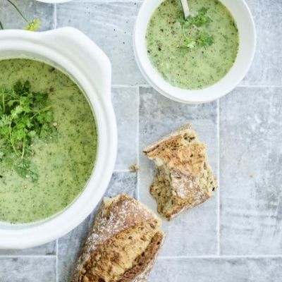 Cerfeuil Anisé - Leaderplant