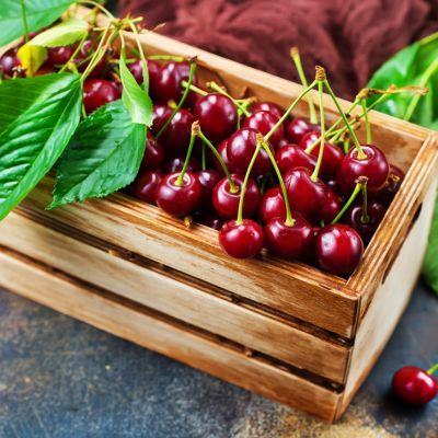 Cerisier nain Romeo - Leaderplant