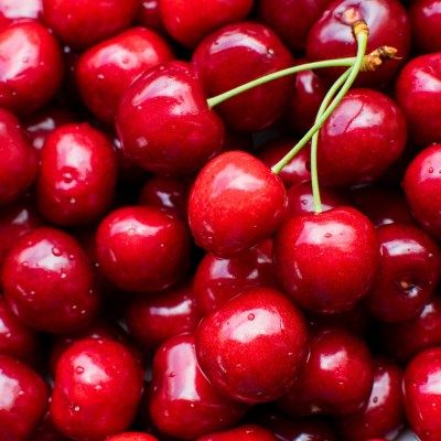 Cerisier nain Sylvia - Leaderplant