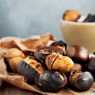 Châtaignier Marron de Souillac  - Leaderplant