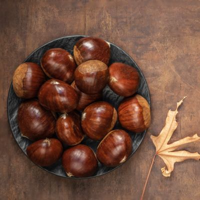 Châtaignier Marron de Souillac  - Leaderplant