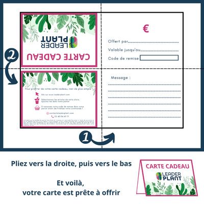 Pépi Chèque-cadeau - Leaderplant