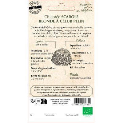 Graines de Chicorée Scarole - Leaderplant