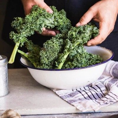 Chou Kale Winterbor 40/50 - Leaderplant