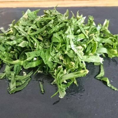 Chou Perpetuel Daubenton - Leaderplant