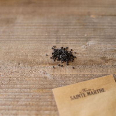 Graines Bio Ciboule de Chine (Ferme de Sainte Marthe) - Leaderplant