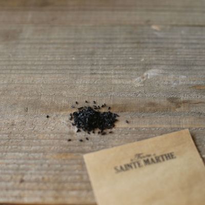 Graines Bio Ciboulette commune (Ferme de Sainte Marthe) - Leaderplant