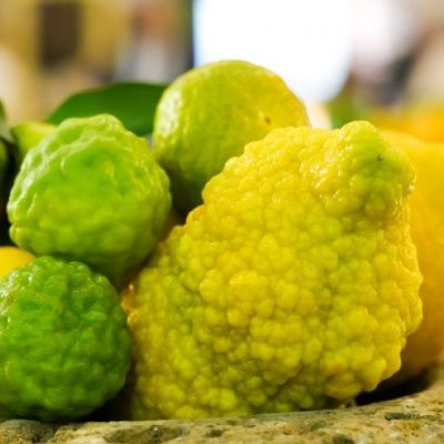 Citronnier des neiges Jambhiri  - Leaderplant